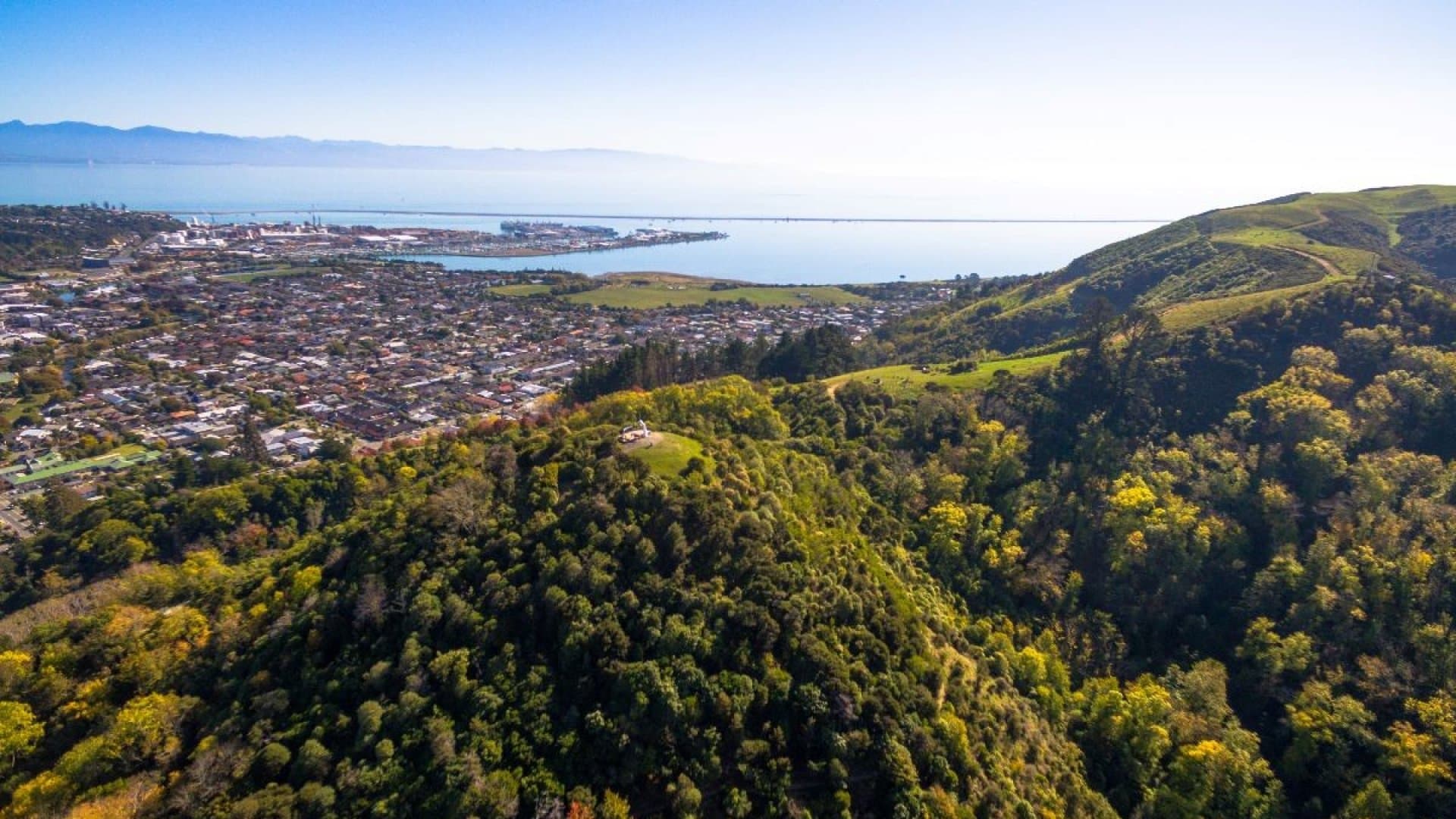 Aerial view over Nelson: streets of suburban rooftops running down to the port and Tasman Bay, with bush-covered hills in the foreground.